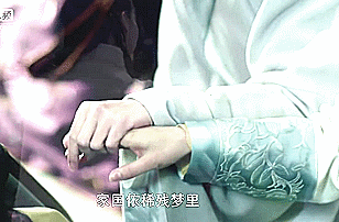 琅琊榜 胡歌 刘涛 牵手