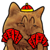 红包 猫咪 动眉毛 帽子