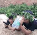 搞笑 逗逼 雷人 玩耍