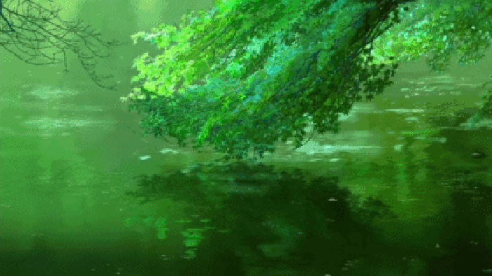 绿树 水边 树枝 影子