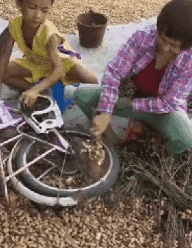 自行车 车轮 干啥呢这是 搞笑