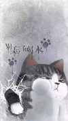 碎屏壁纸 抖音壁纸 壁纸 手机壁纸