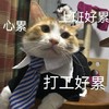 萌宠 猫星人 上班好累 心累 呆萌 可爱