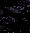 观众 灯光 黑夜 舞台