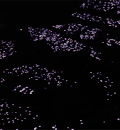 观众 灯光 黑夜 舞台