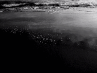 海洋 ocean nature
