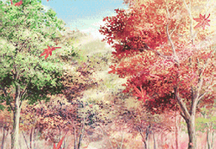 红叶 树林  落叶 秋天
