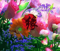 花朵  鲜艳  漂亮  缘