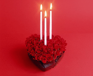 蜡烛 爱心 玫瑰花 生日快乐