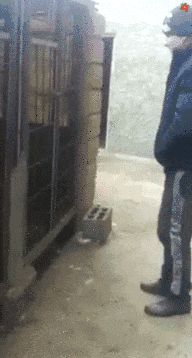 搞笑 搞怪 恶搞