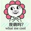 金馆长 花花 装逼 我萌吗