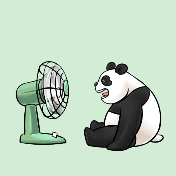 熊猫 卡通 风扇