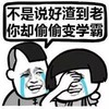 捂眼 流泪 泪奔 难过