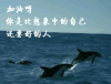 哲理