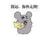 小老鼠 傻逼 快走开 斗图 搞笑 猥琐
