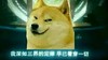 小狗 眼神 不服气 我深知三界的定律早已看穿一切