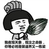 夜观天象 羽毛扇 诸葛亮  你等必将是装逼届又一栋梁