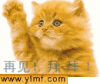 图片  美图   猫咪 再见