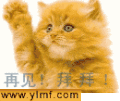 图片  美图   猫咪 再见