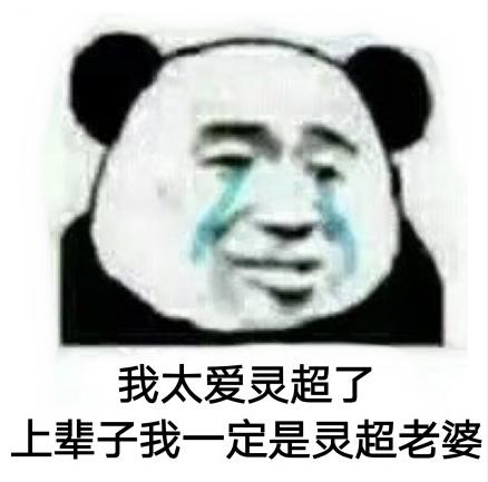 迷妹 搞笑 灵超 可爱 文字表情包