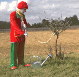 小丑 搞笑 浇水