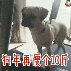 新年 快乐 狗 瘦 soogif