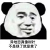 暴漫 熊猫头 异地恋真像树叶 不是绿了就是黄了 搞怪 逗