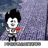 斗图 搞笑 堵车 国庆节