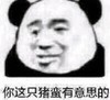 熊猫头 暴漫 你这只猪蛮有意思的 搞笑 逗 蠢萌 沙雕