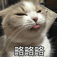 萌宠 吐舌头 猫咪 猫 喵星人 略略略 搞怪