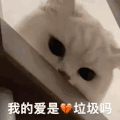 萌宠 猫星人 我的爱是垃圾吗 难受 呆萌 可爱