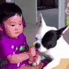 汪星人 狗狗 可爱 萌宠 狗