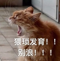 猫咪 喵星人 猥琐发育别浪 搞笑 大叫