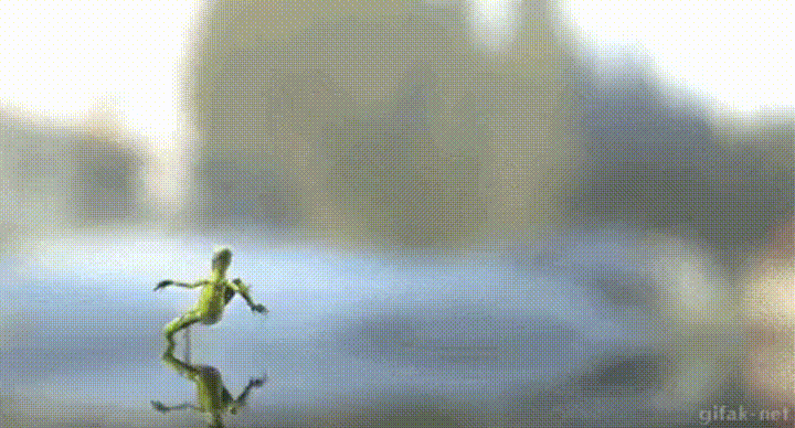 蜥蜴gif动态图片,水上漂轻功了得我来了动图表情包下载 - 影视综艺
