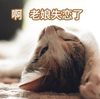萌宠 猫星人 我失态了 难受 搞怪 逗
