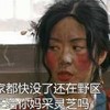 礼貌 骂人语录 武林外传 王者荣耀 闫妮 佟湘玉 野区 家都没了 采灵芝