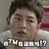 宋仲基 柳时镇 太阳的后裔 斗图 你TM在逗我吗