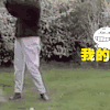 狗 汪星人 调皮