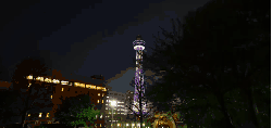 城市 塔 夜晚 天空 日本 日本横滨城市风光 纪录片