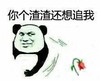 你个渣渣还想追我 鲜花 熊猫人 恶搞