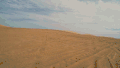 沙漠 一望无际 干旱 风景 跑车