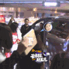 赵丽颖 粉丝接机 娱乐新闻 拥挤 上车