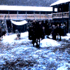 骑马 雪地 奔跑 场景