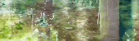 下雨 水滴 夏天 绿色