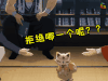 soogif soogif出品 活击刀剑乱舞 拒绝哪一个呢