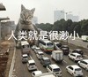 萌宠 喵星人 人类很渺小 我最大 沙雕 搞怪