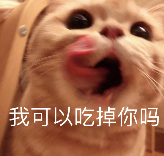 萌宠gif喵星人gif我可以吃掉你吗gif咬一口gif搞怪gif呆萌gif