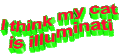 英文 晃动 红色 Ithinkmycatisilluminati
