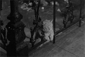 喵星人 雷人 猫咪 萌宠 可爱