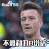 2018世界杯 俄罗斯世界杯 大力神杯 FIFA 世界杯 罗伊斯 不想和丑b说话 德国 法国